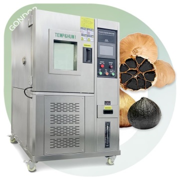 Machine de fermentation industrielle noire à l'ail pour un usage domestique
