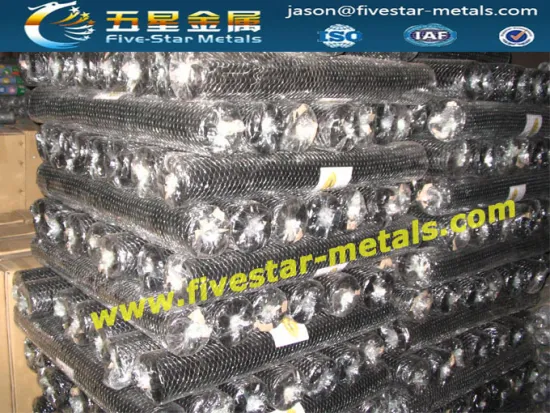 electro galvanized hexagonal wire netting