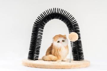 Juguete de arco en forma de arco para gato