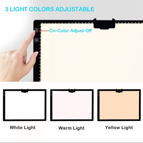 Base en acrylique Slim X-Ray Illuminated Dessin Led Pad