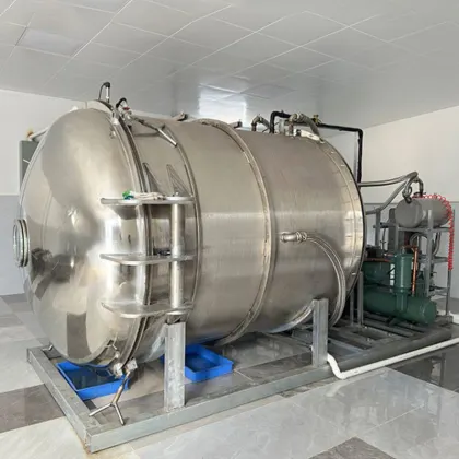 Dried Fresh Meat Lyophilizer Freeze Dryer