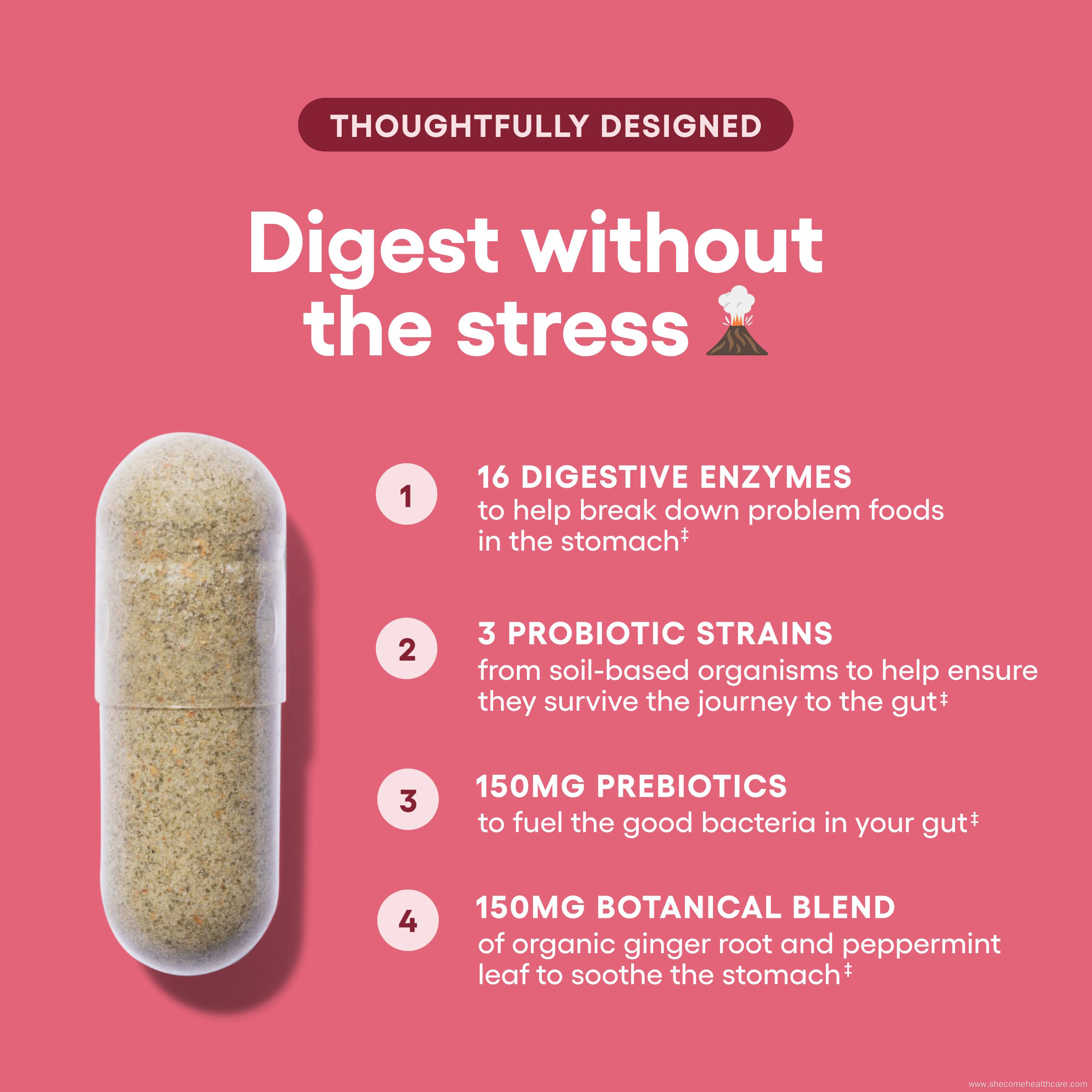 Organic Prebiotics Probiotics Capsules for Digestive Health