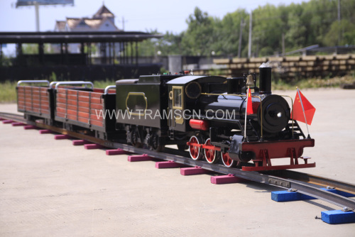 High quality theme park rides playground locomotive train