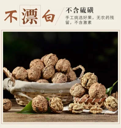 Premium Walnut Kernel Fresh Harvest