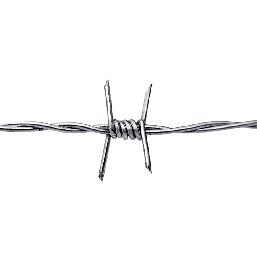 barbed wire1