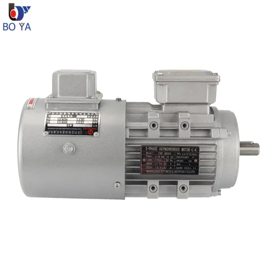 High Quality Factory Price YVF/YVP Series 3 Phase 380V 5HZ-100HZ Frequency Conversion Motor