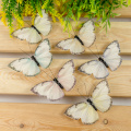 Butterfly crafts for adults