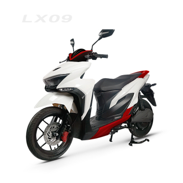 Double 60V18Ah Lithium Battery for LX09 Electric Motorcycle and Scooter