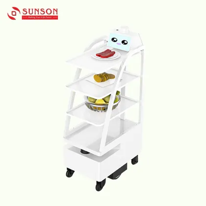 Food and Drug Delivery Robot