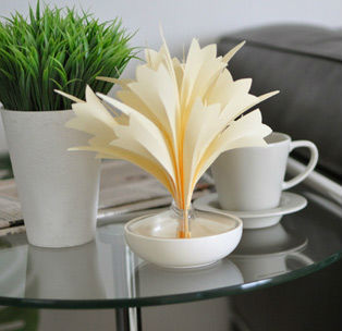 Eco humidifier