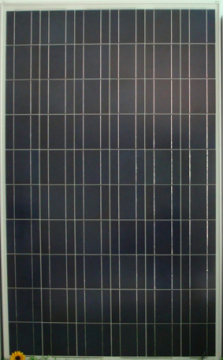 250w Polylcrystalline Solar Panel