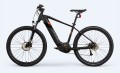 Montaña E Motion Bike ebike