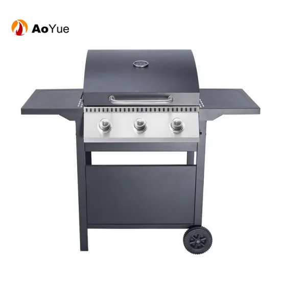 Garden BBQ Stainless Steel Gas Grill
