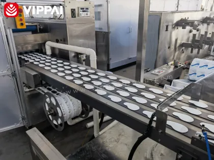 VIPPAI 2024 Hot Medical Cosmetics Eye Care Patch Packing Machine