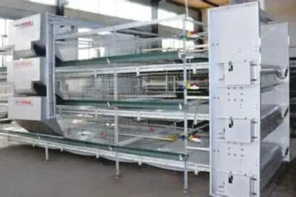 H Type Chicken Equipment