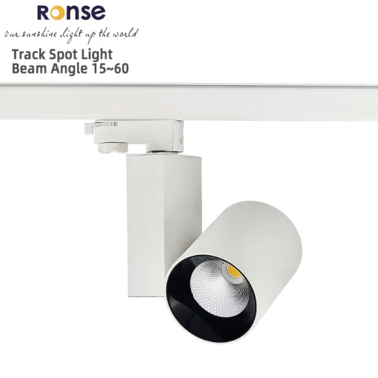 RONSE 30W Dimmable LED Track Lighting System