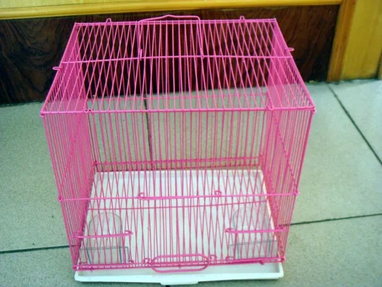 Cold Rolled Plate Stainless Steel Mesh Size 6.4*6.4 13mm Chicen Wire Mesh