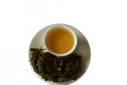EU standard Bai Mu Dan Peony White Tea