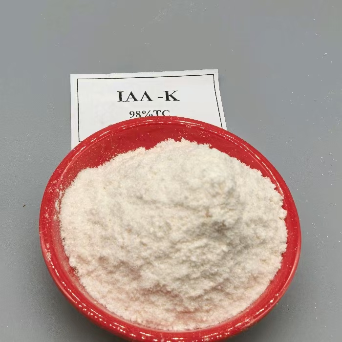 auxin IAA Indole-3-acetic acid Potassium salt IAA-K (25)