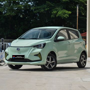 2023-2024 Super Changan Benben Mini E-Star Top-Version Elektroauto-310 km Reichweite