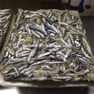 New Landing Fresh Frozen Anchovy block fish feed