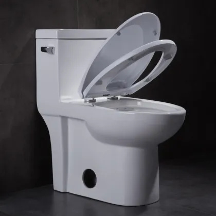 Ceramic Siphonic S-Trap One Piece Toilet