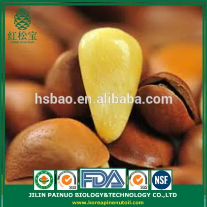 Factory Direct High Quality Roasted Open Pine Nuts in Shell