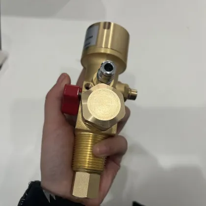 Good Quality FM200 Fire Extinguisher Valve and Fire Detection Valves Manufacturer