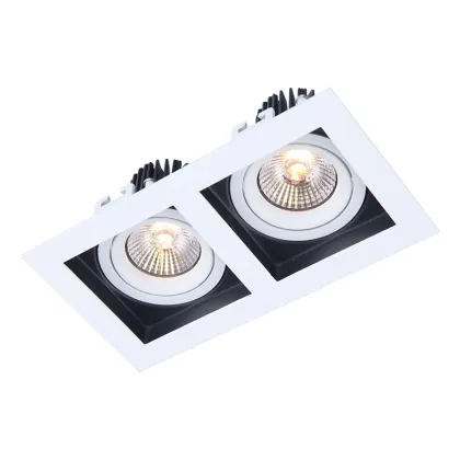 Customizable Double Head Anti-Glare COB Downlight