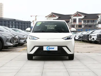 BYD Seagull  EV Cars Pure Electric Mini/Small Cars  New Energy Vehicles Flying/Freedom/Vitailty Version