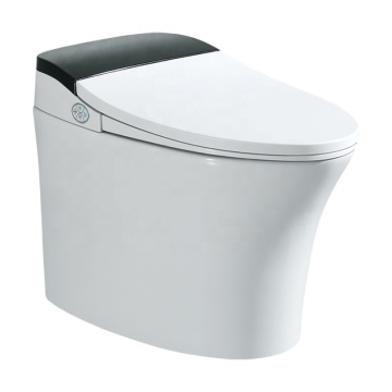 Modern Smart Automatic Operation Tankless Electronic Intelligent Toilet