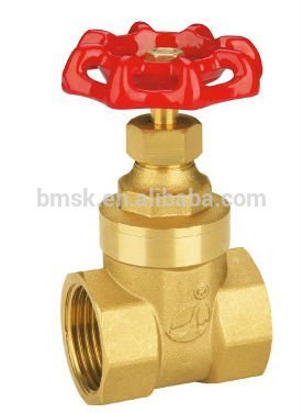 bs standard gate valve