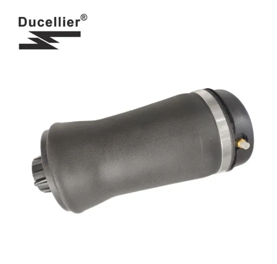 High Quality Rear Air Suspension Spring Bag OEM 37126750355 37121095579 for BMW X5 E53