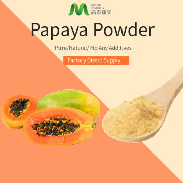 Trockene beste Papaya -Pawpawpulver