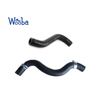 Auto Parts Radiator Hose Lower for Hyundai Kia Coolant Water Pipe