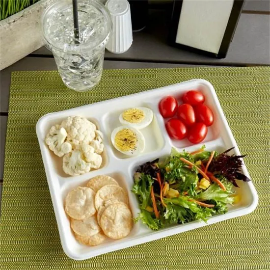 Biodegradable Disposable Paper Plate Sugarcane Dinnerware