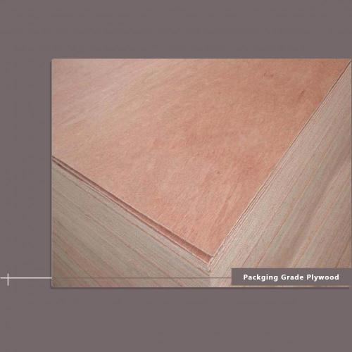First Class Packaging Plywood 5 Mm