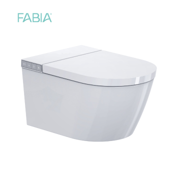 Modern Wall Mounted Smart Toilet System