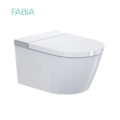 Smart Wall Mounted Toilet System