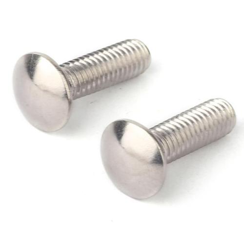 304 DIN603 carriage bolt Stainless Steel