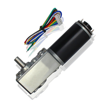 Worm Gear Motor With Magnetic Linear Encoder