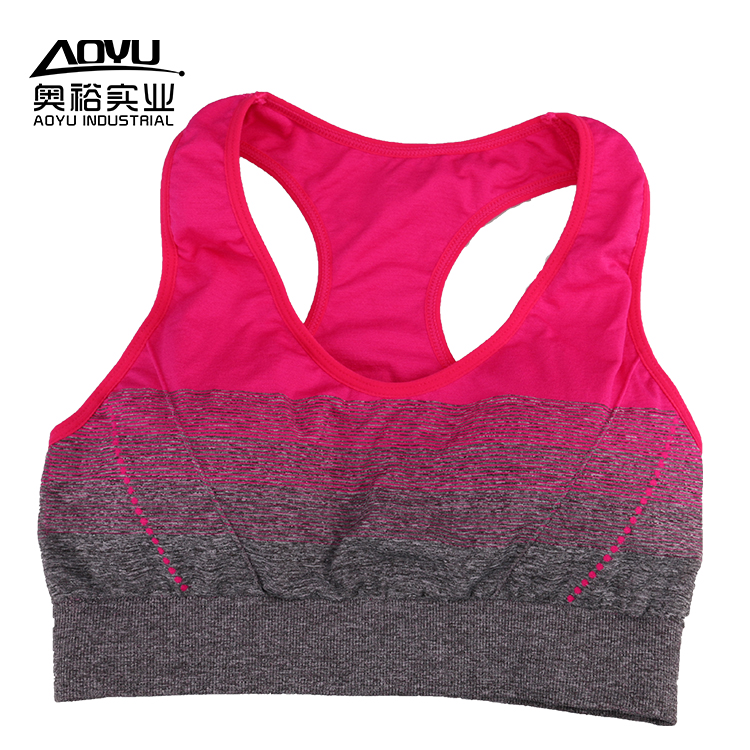 Women S Sport Bra