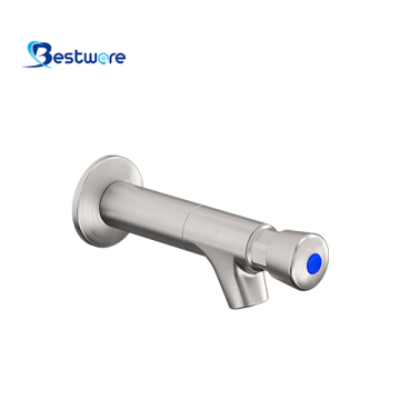 Stainless Steel Wall Mount Metering Faucet