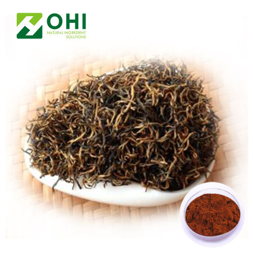 Black Tea Extract Polyphenols Powder