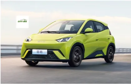 New Energy Motors Car Electric Vehicle Ontime Seagull