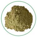 High quality vegan organic buckwheat grass powder