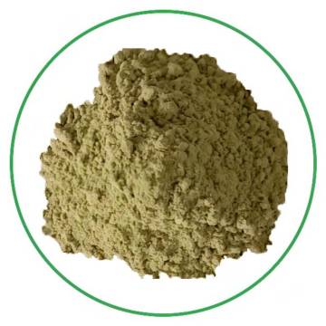 High quality vegan organic buckwheat grass powder