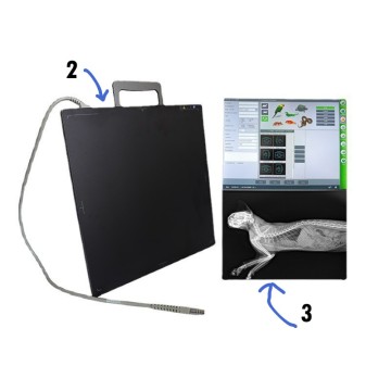 Portable Animal X-ray Machine for Orthopedic and Dental Imaging