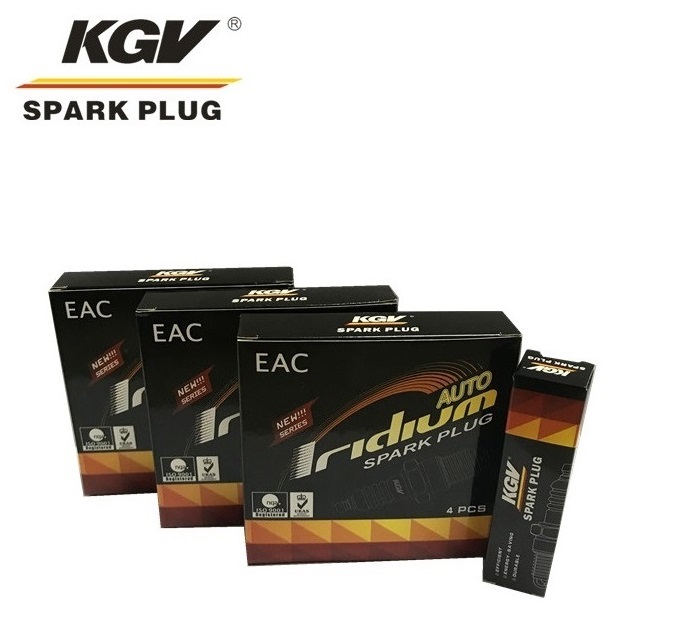 Auto Iridium Spark Plug EIX-BKR5 for AUDI A5