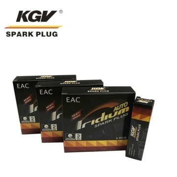 Auto Iridium Spark Plug EIX-BKR5 for AUDI A5